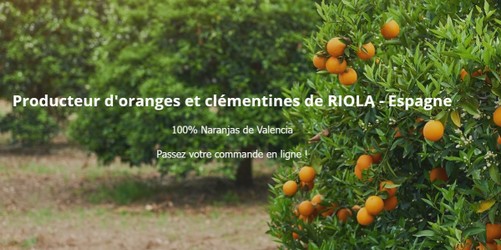 favimage_naranjas.jpg