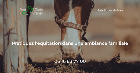 favimage_saint_baudile_equitation.png